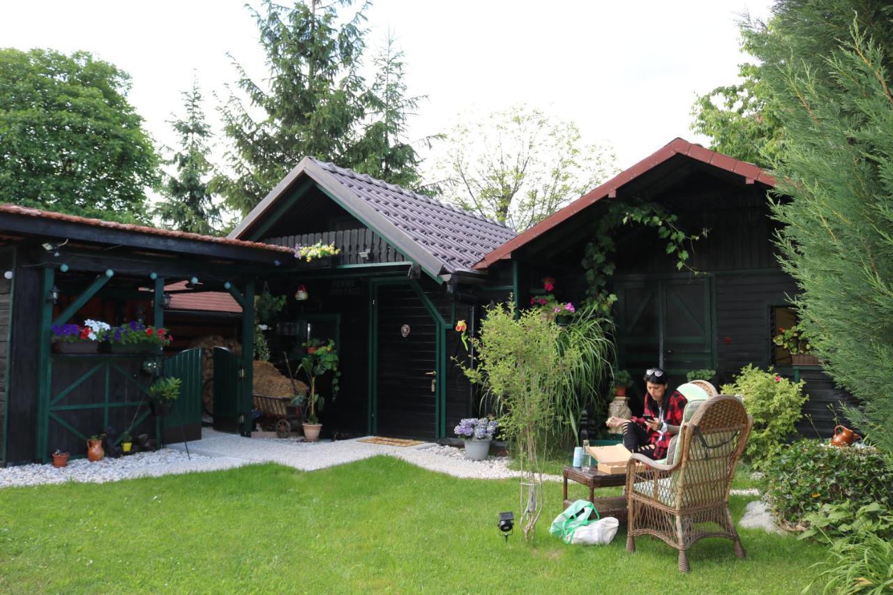 Frenk Cottage 5 Km From The Airport-Free Transportation Sencur Exterior photo